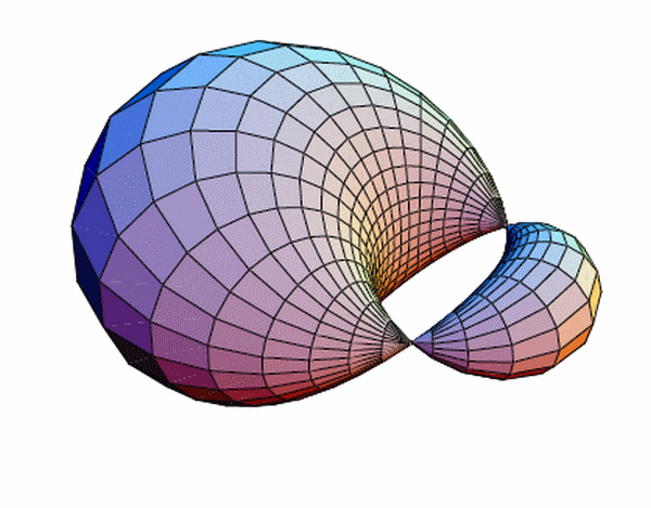 Figure 18 —  A Dupin horned cyclide